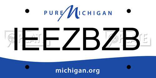IEEZBZB Michigan License Plate