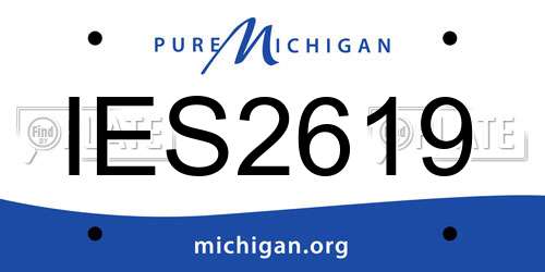 IES2619 Michigan License Plate