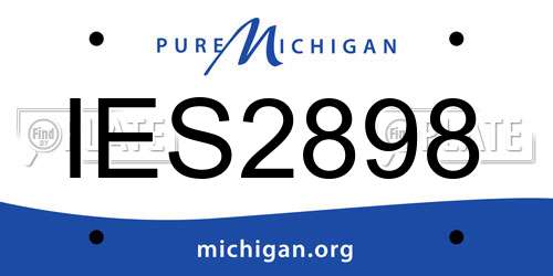 IES2898 Michigan License Plate
