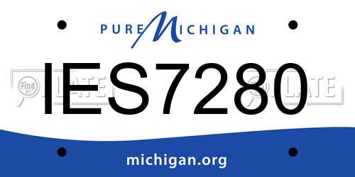 IES7280 Michigan License Plate