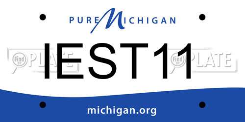 IEST11 Michigan License Plate