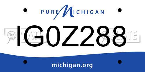 IG0Z288 Michigan License Plate