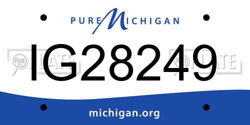 IG28249 Michigan License Plate