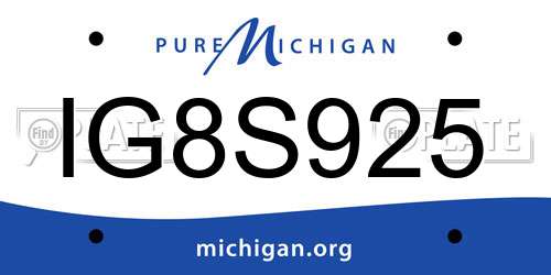 IG8S925 Michigan License Plate