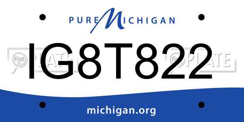 IG8T822 Michigan License Plate