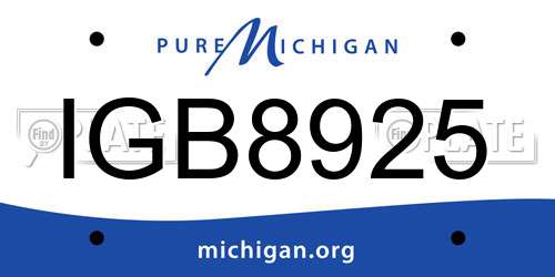 IGB8925 Michigan License Plate