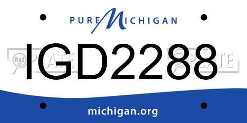 IGD2288 Michigan License Plate