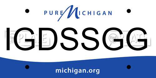 IGDSSGG Michigan License Plate