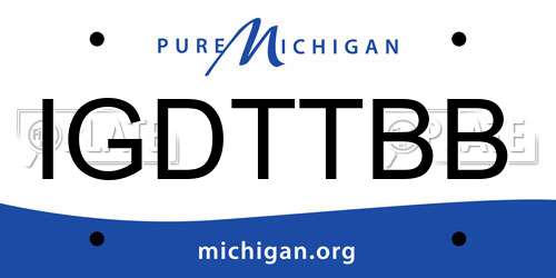 IGDTTBB Michigan License Plate