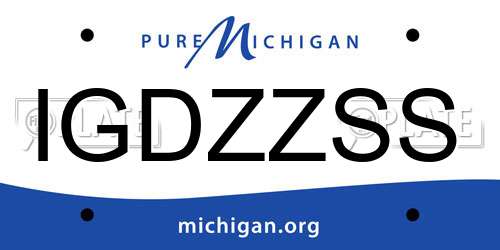 IGDZZSS Michigan License Plate