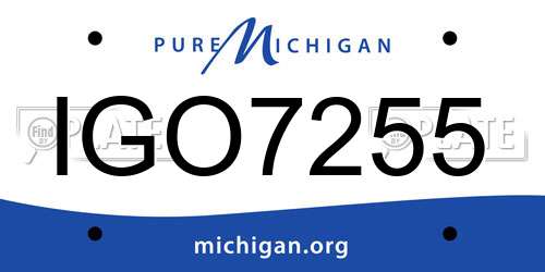 IGO7255 Michigan License Plate