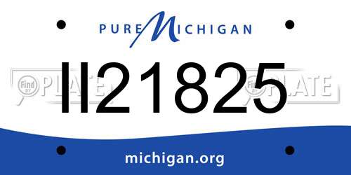 II21825 Michigan License Plate