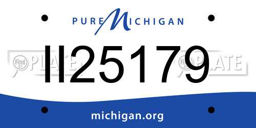 II25179 Michigan License Plate