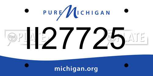 II27725 Michigan License Plate