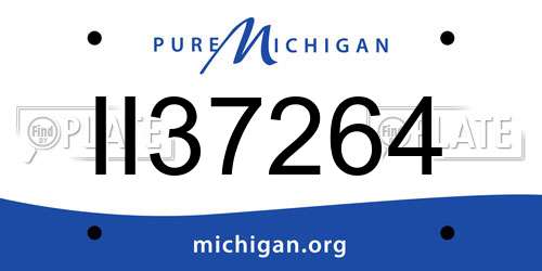 II37264 Michigan License Plate