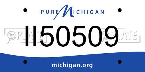 II50509 Michigan License Plate
