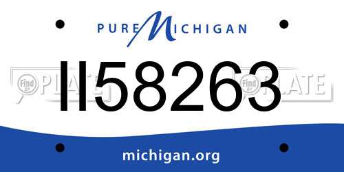 II58263 Michigan License Plate