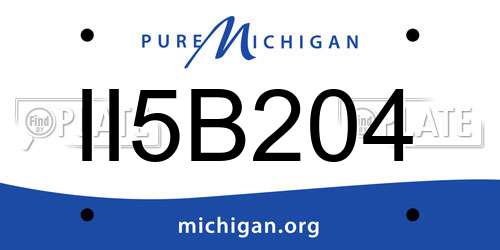 II5B204 Michigan License Plate