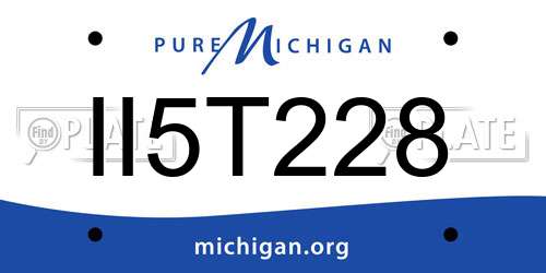 II5T228 Michigan License Plate
