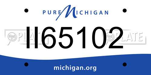 II65102 Michigan License Plate
