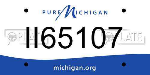 II65107 Michigan License Plate