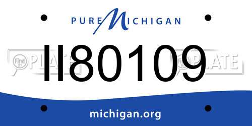 II80109 Michigan License Plate