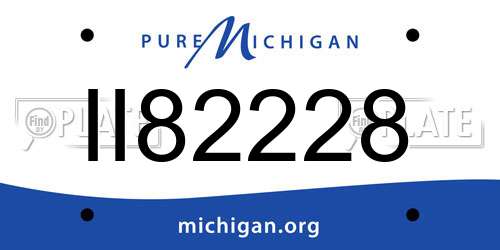 II82228 Michigan License Plate