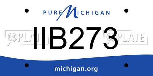 IIB273 Michigan License Plate