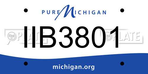 IIB3801 Michigan License Plate