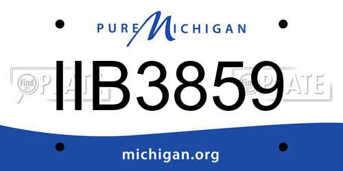 IIB3859 Michigan License Plate