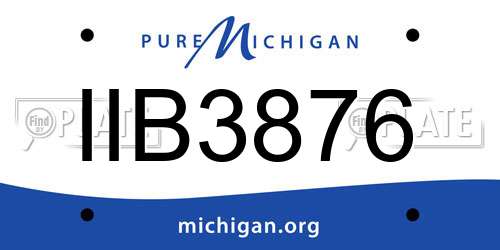 IIB3876 Michigan License Plate
