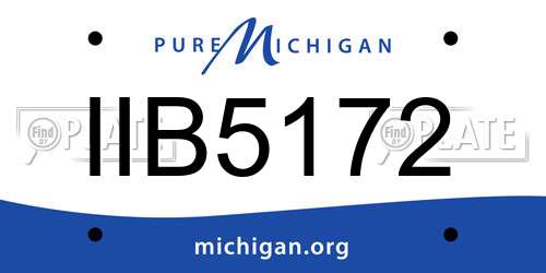 IIB5172 Michigan License Plate
