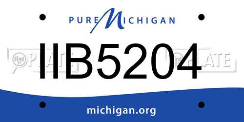 IIB5204 Michigan License Plate