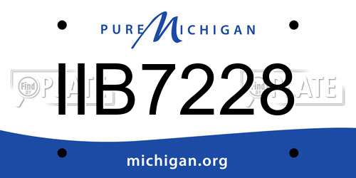 IIB7228 Michigan License Plate