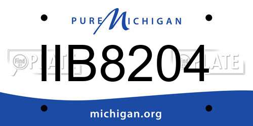 IIB8204 Michigan License Plate