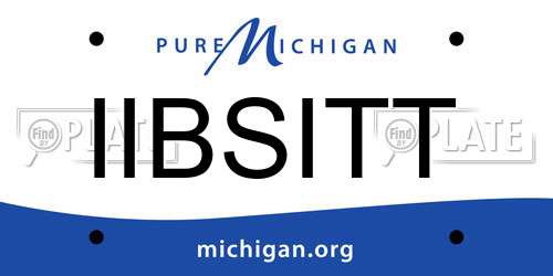 IIBSITT Michigan License Plate