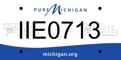 IIE0713 Michigan License Plate