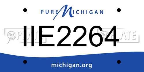 IIE2264 Michigan License Plate