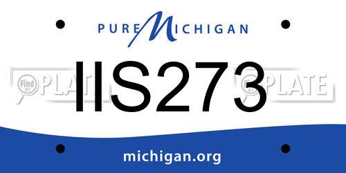 IIS273 Michigan License Plate