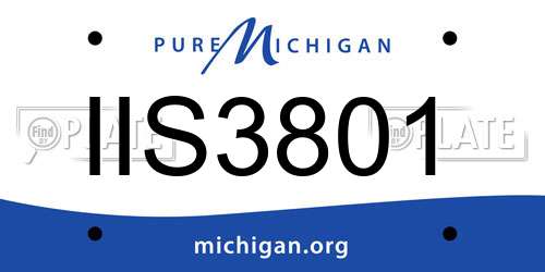 IIS3801 Michigan License Plate
