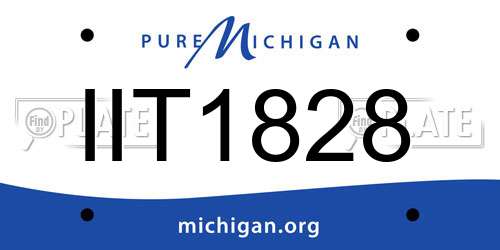 IIT1828 Michigan License Plate