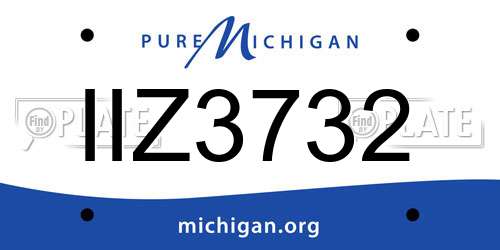 IIZ3732 Michigan License Plate