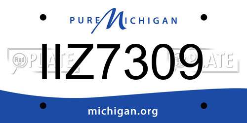 IIZ7309 Michigan License Plate