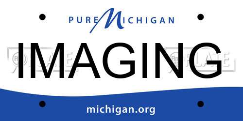 IMAGING Michigan License Plate
