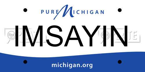 IMSAYIN Michigan License Plate