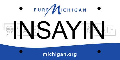 INSAYIN Michigan License Plate