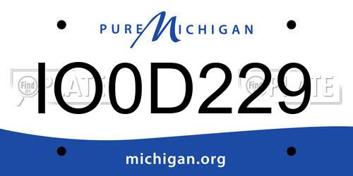 IO0D229 Michigan License Plate