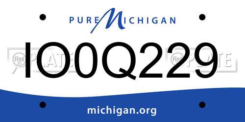 IO0Q229 Michigan License Plate