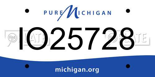 IO25728 Michigan License Plate