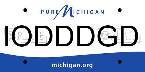 IODDDGD Michigan License Plate